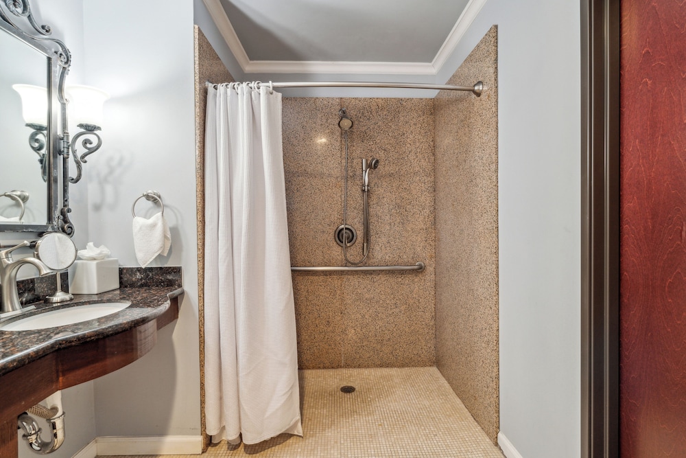 Premium Room, 1 King Bed, Mobility Accessible (Premium King Room) - Photo 3