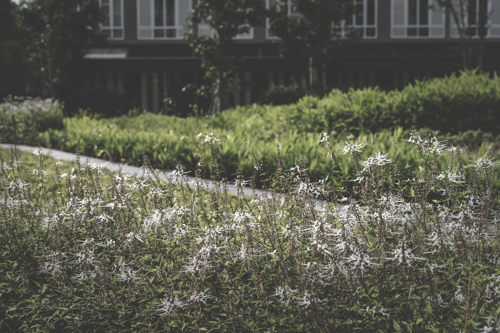 Parco suite - Photo 2