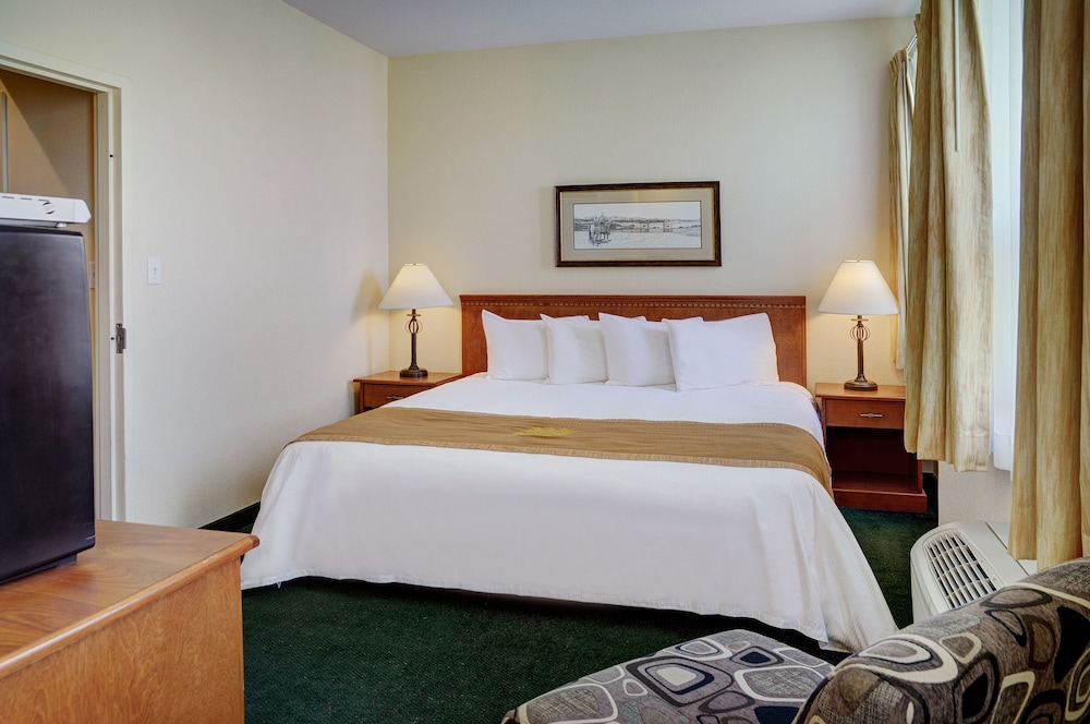 Standard Studio Suite, 1 Queen Bed photo 3