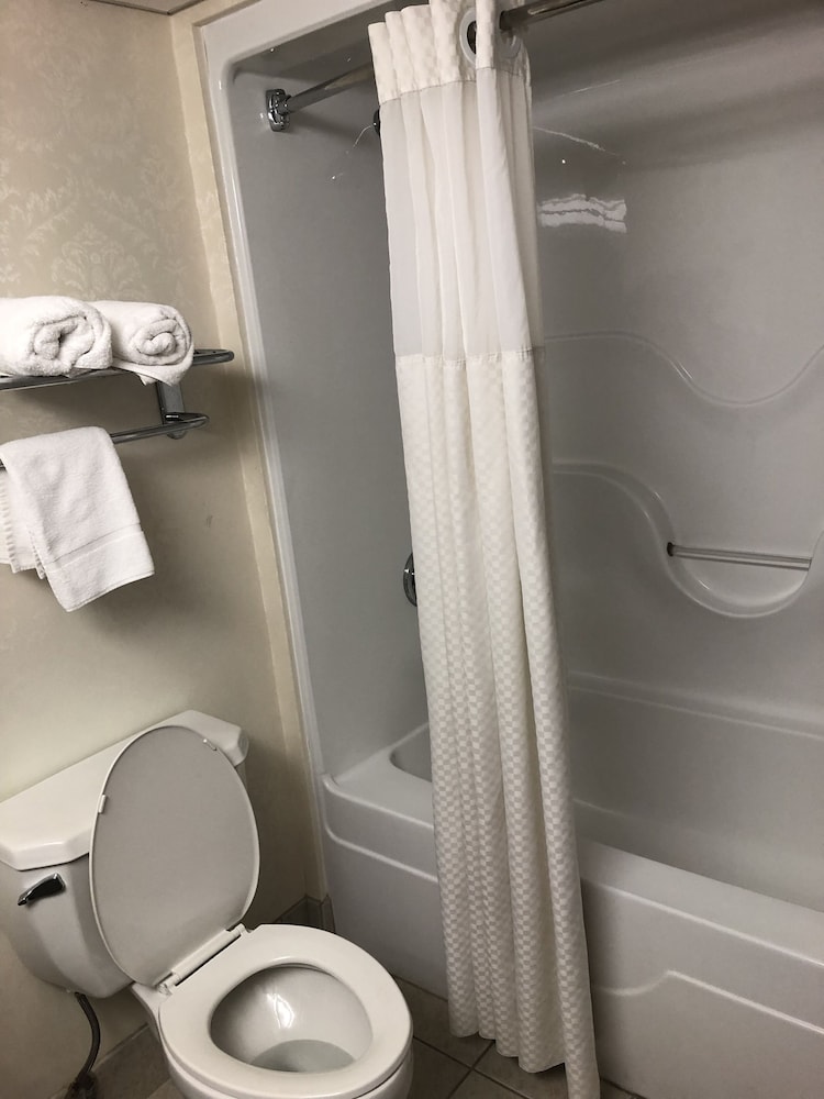 Suite, Multiple Beds, Non Smoking - Photo 9
