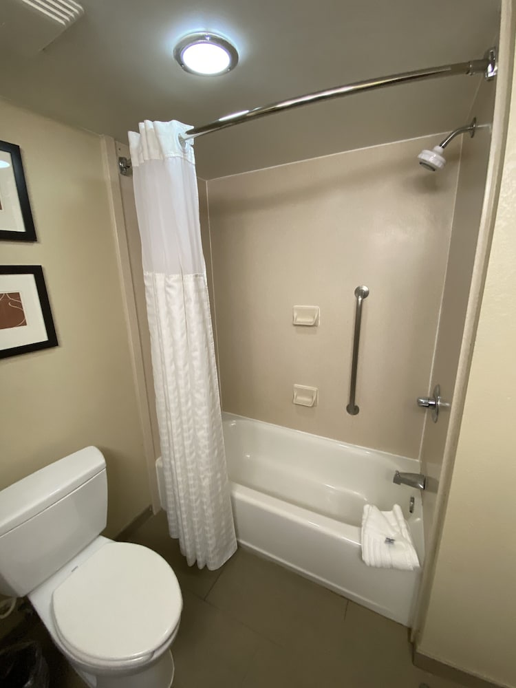 Two Queen Bed Suites with Sofa Bed - Photo 6