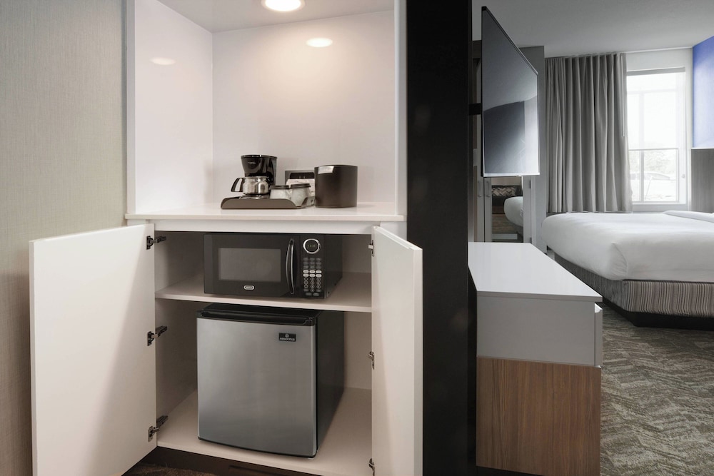 Suite, Multiple Beds (Mobility/Hearing Access, Roll-in Shwr) - Photo 3