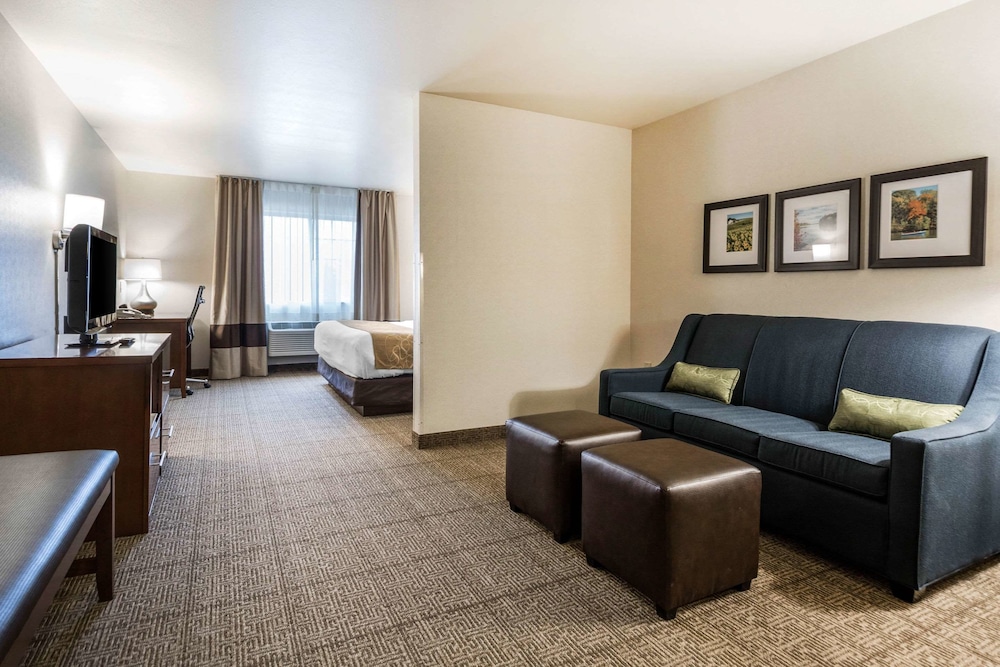 Suite, 1 King Bed, Accessible, Non Smoking - Photo 2