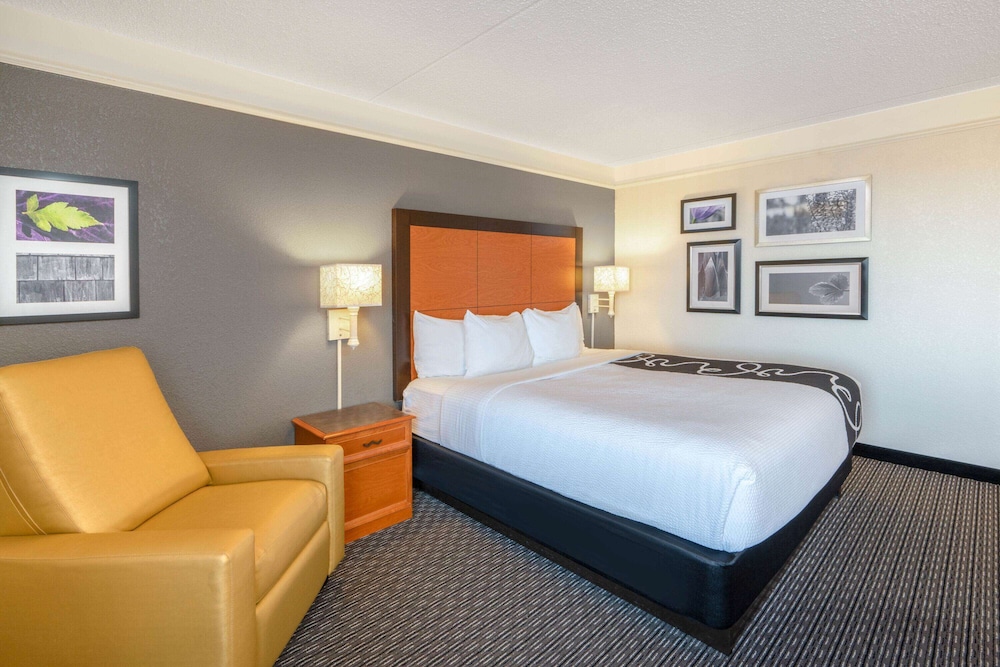 Room, 1 King Bed, Non Smoking - Photo 4