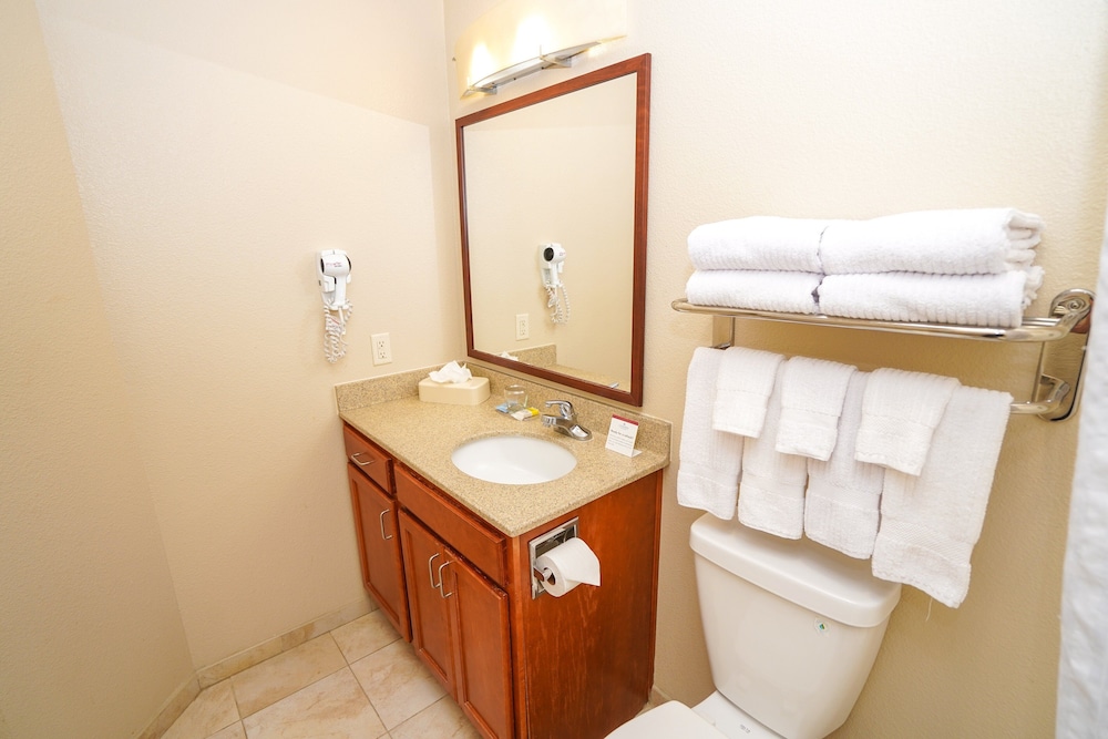 Suite, 1 Bedroom - Photo 9