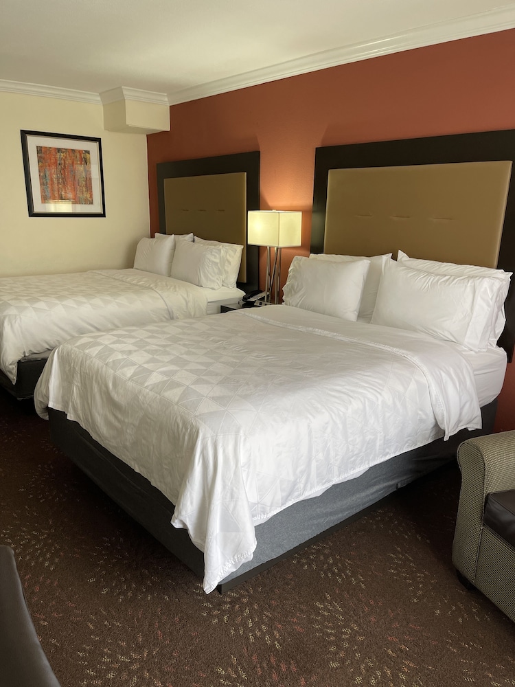 Standard Room, 2 Queen Beds, Courtyard View - Photo 6