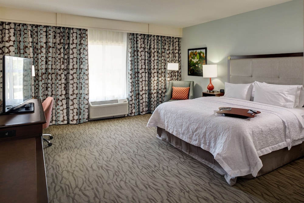 Room, 1 King Bed, Accessible