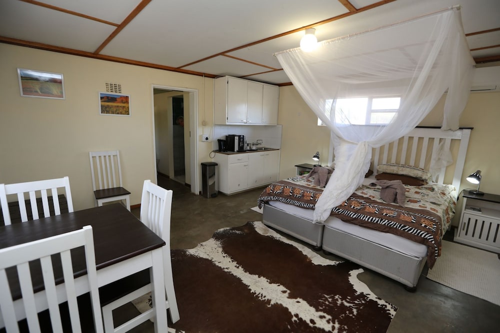 House (Dama) photo 2