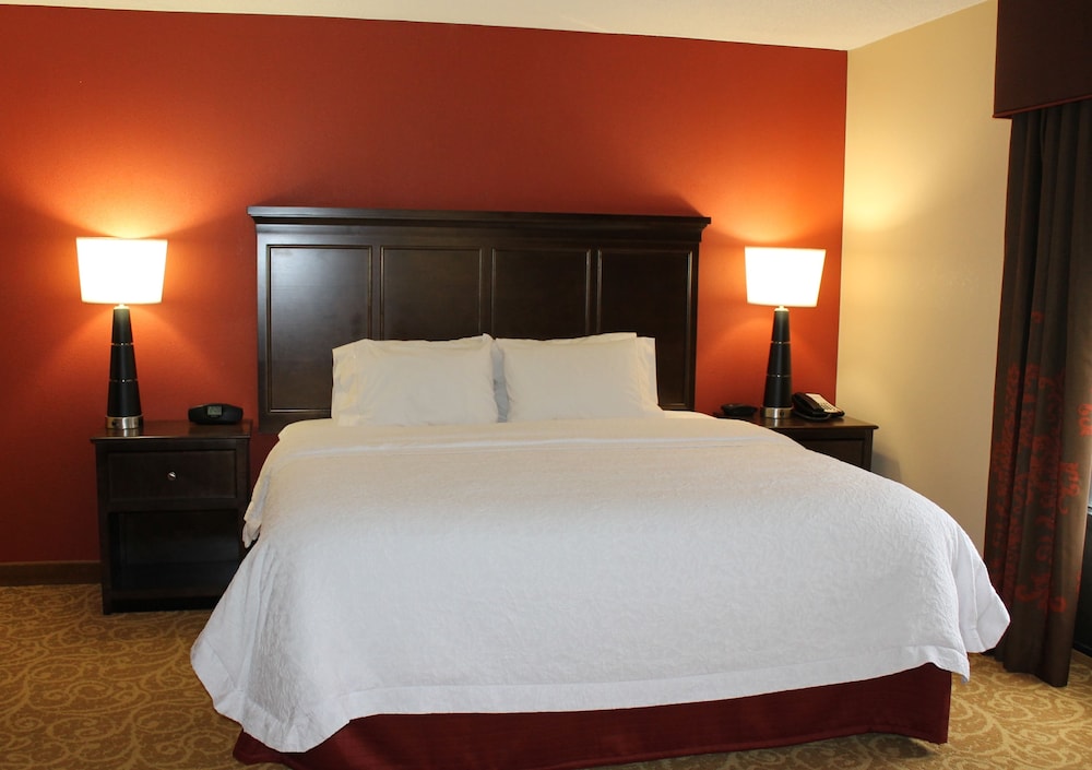 Suite, 1 King Bed, Accessible, Non Smoking - Photo 2