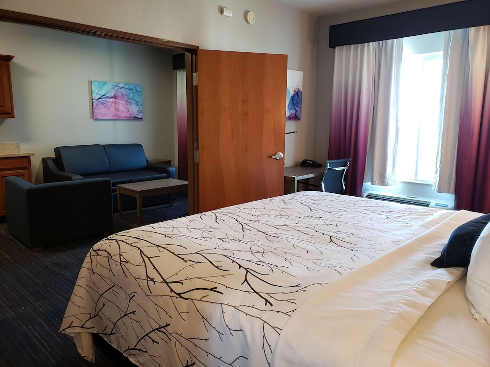 Suite, 1 King Bed, Accessible, Kitchen (with Sofabed, Full Kitchen)