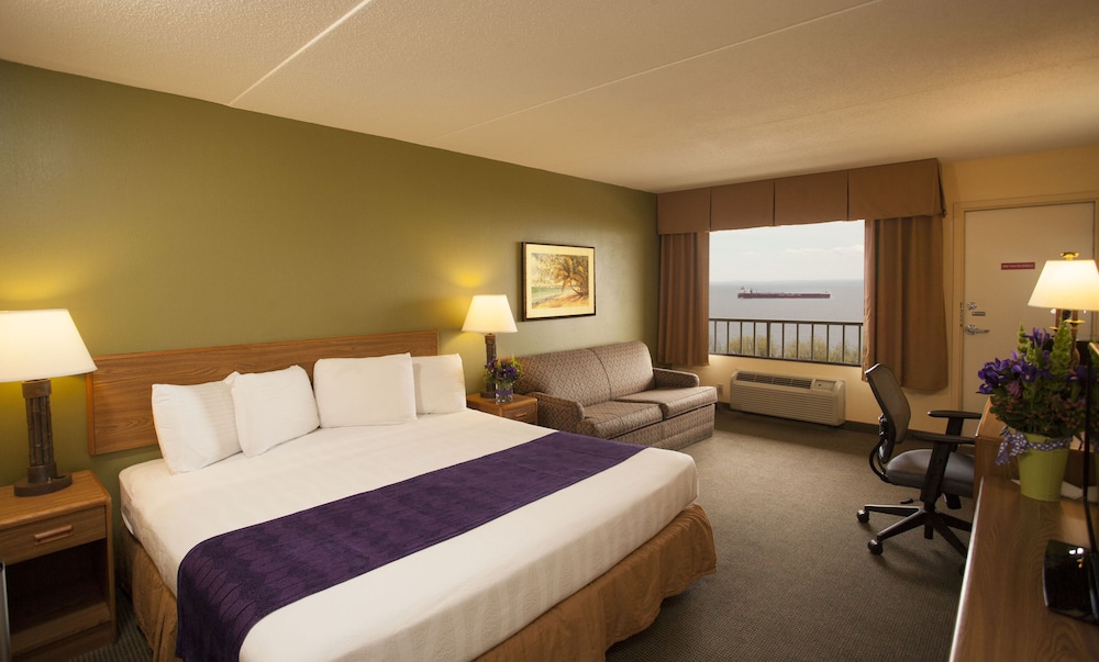 Standard Room, 1 Bedroom - Waterpark Passes Not Included And Subject To Availability photo 1