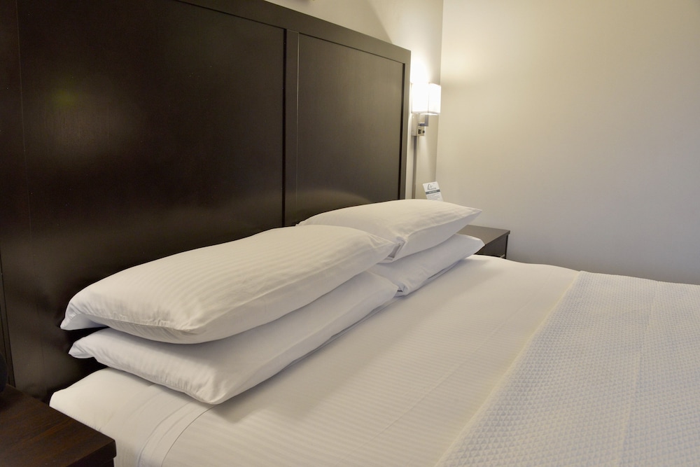 Executive Room, 1 King Bed, Refrigerator & Microwave photo 2