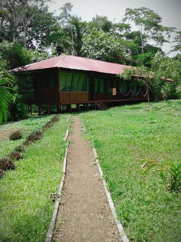 Twin Room, Terrace (1 person) photo 2