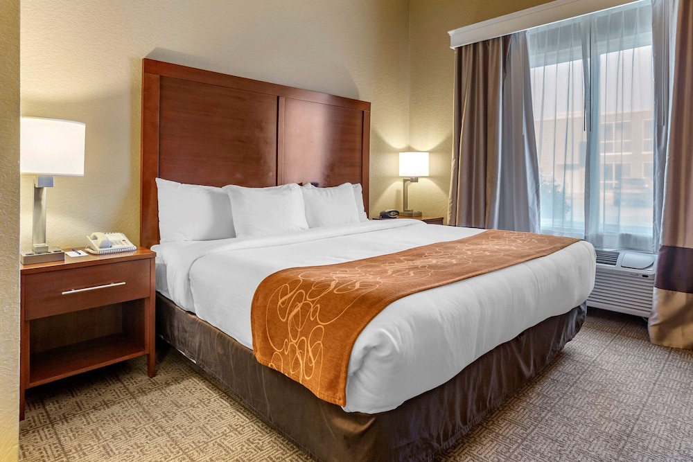 Suite - Photo 1