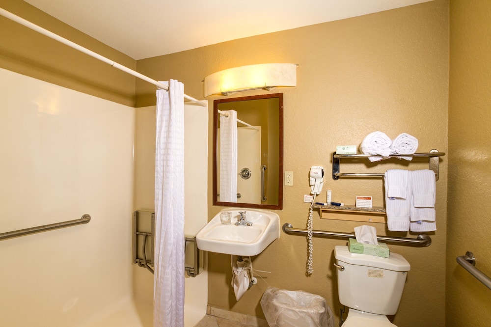 Studio Suite, 1 Queen Bed - Photo 3