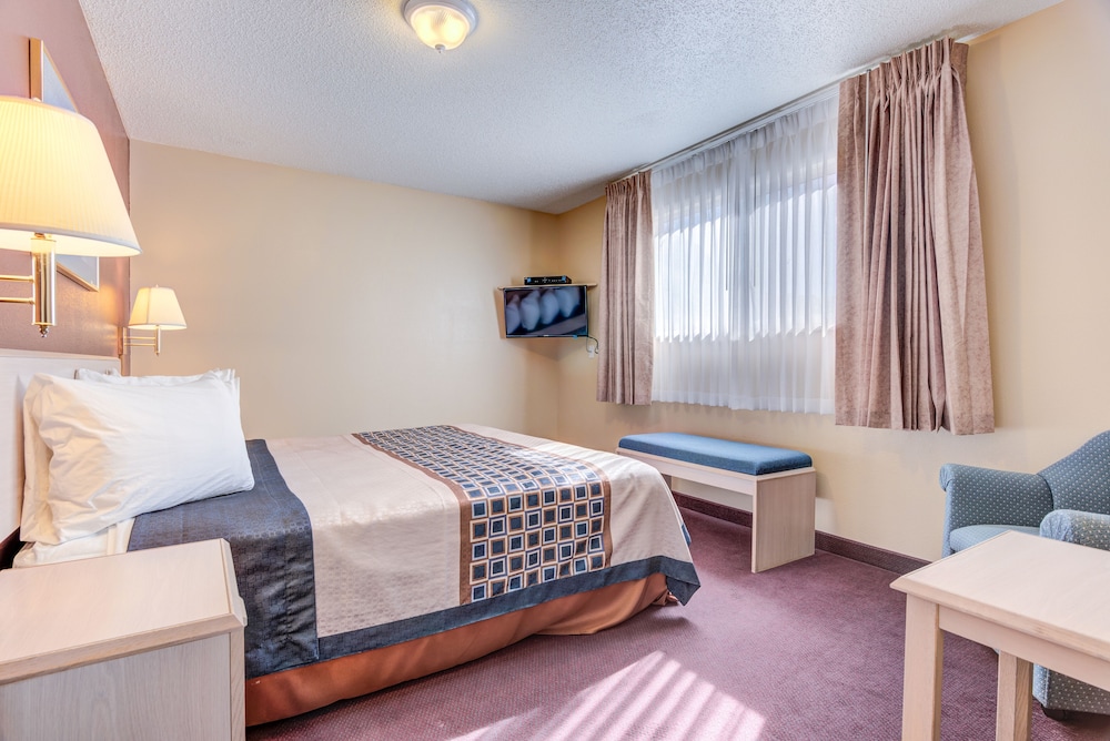 Suite, 1 King Bed with Sofa bed