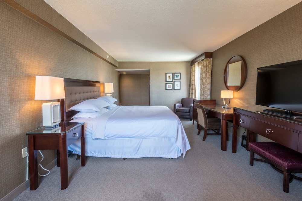 Traditional Room, 1 King Bed (Mobility Accessible, Roll-In Shower) - Photo 3