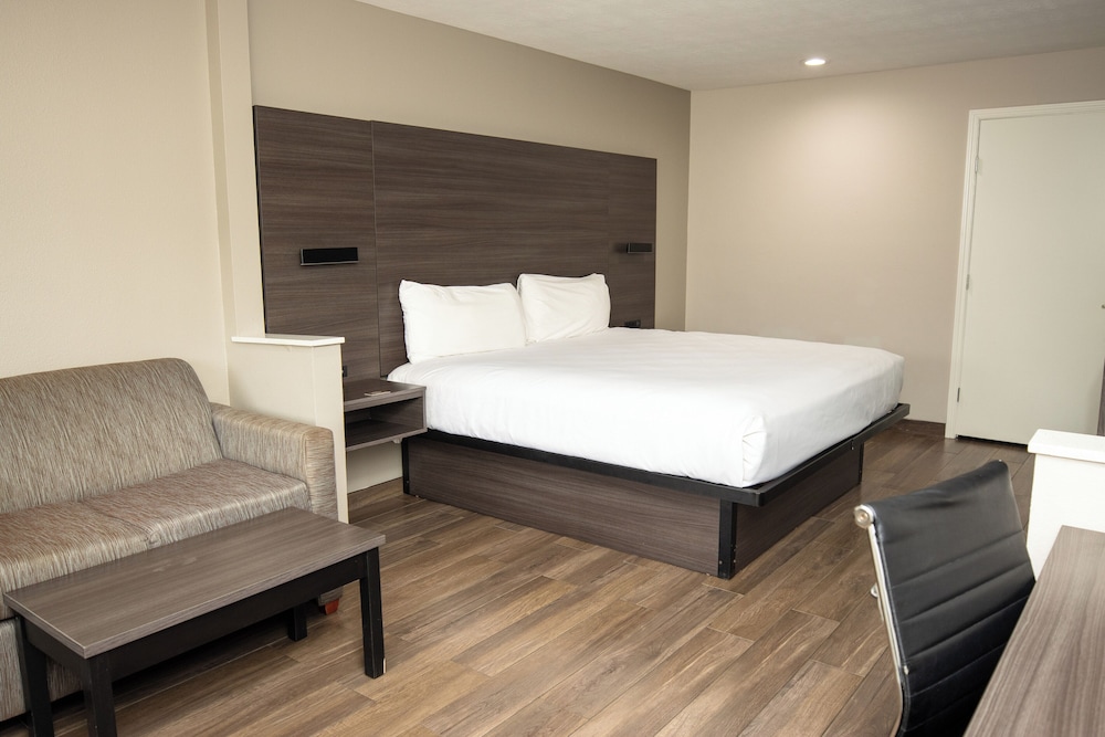Room, 1 King Bed, Non Smoking photo 2