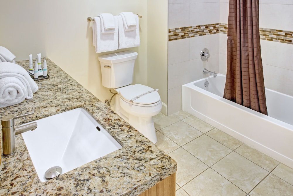 Suite, 1 Bedroom photo 2