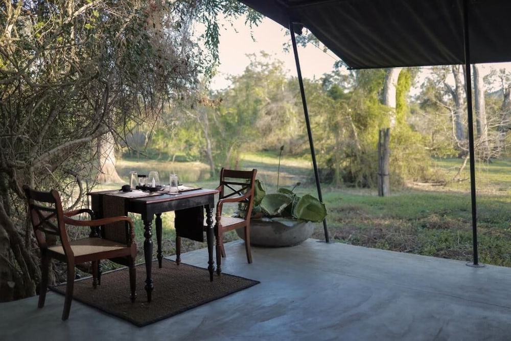 Suite Tent with Plunge Pool photo 2