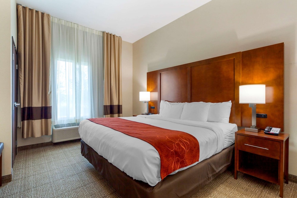 Suite, 1 King Bed with Sofa bed, Accessible, Non Smoking photo 2