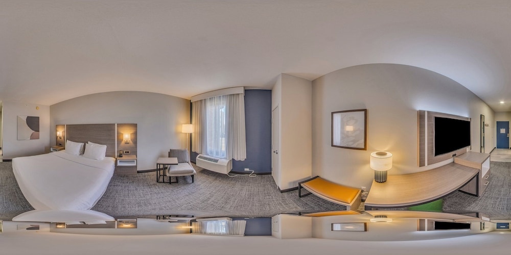 Room, 1 King Bed, Accessible (Mobility & Hearing, Roll-in Shower) - Photo 2