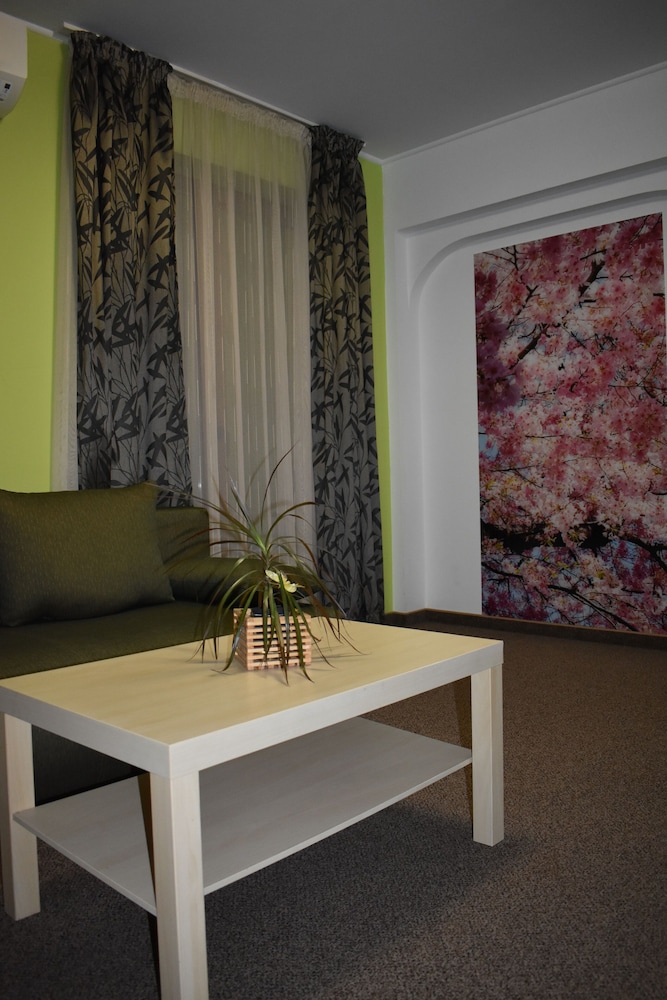 Classic Apartment photo 2