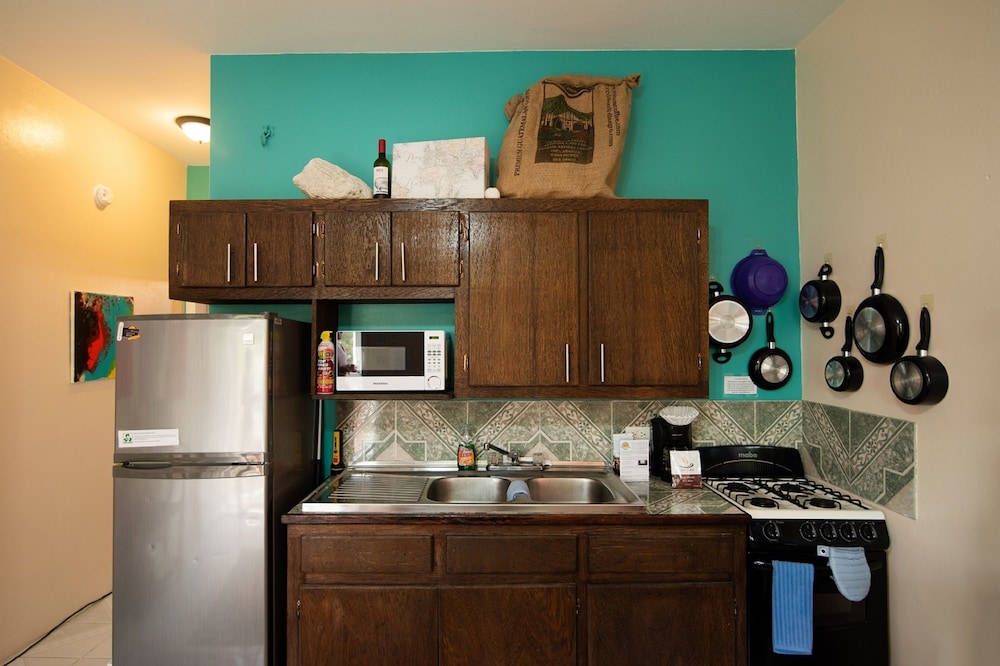 Deluxe Apartment, 1 King Bed, Non Smoking, Kitchen photo 2