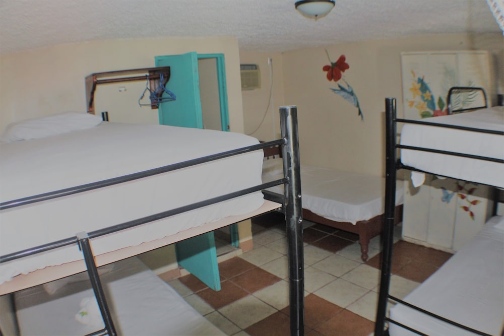 Basic Shared Dormitory, Mixed Dorm photo 1