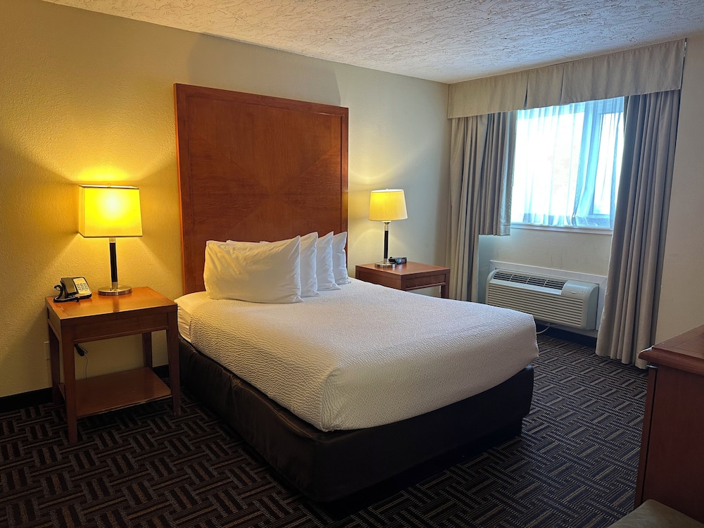 Studio Suite, 1 Queen Bed, Non Smoking - Photo 7
