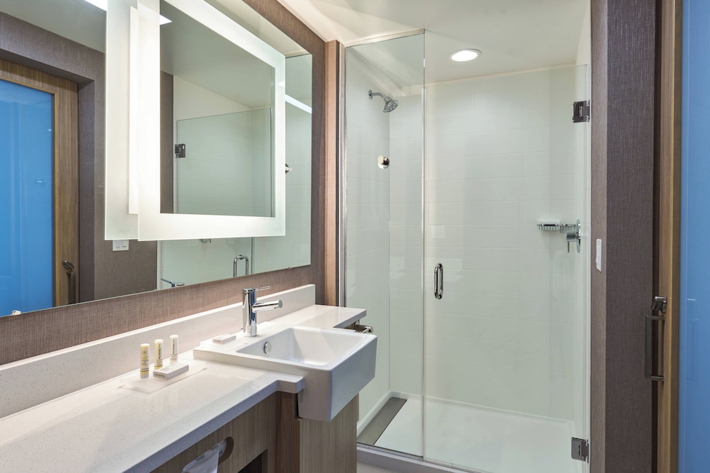 Suite, 1 King Bed (Mobility/Hearing Access, Roll-in Shwr)