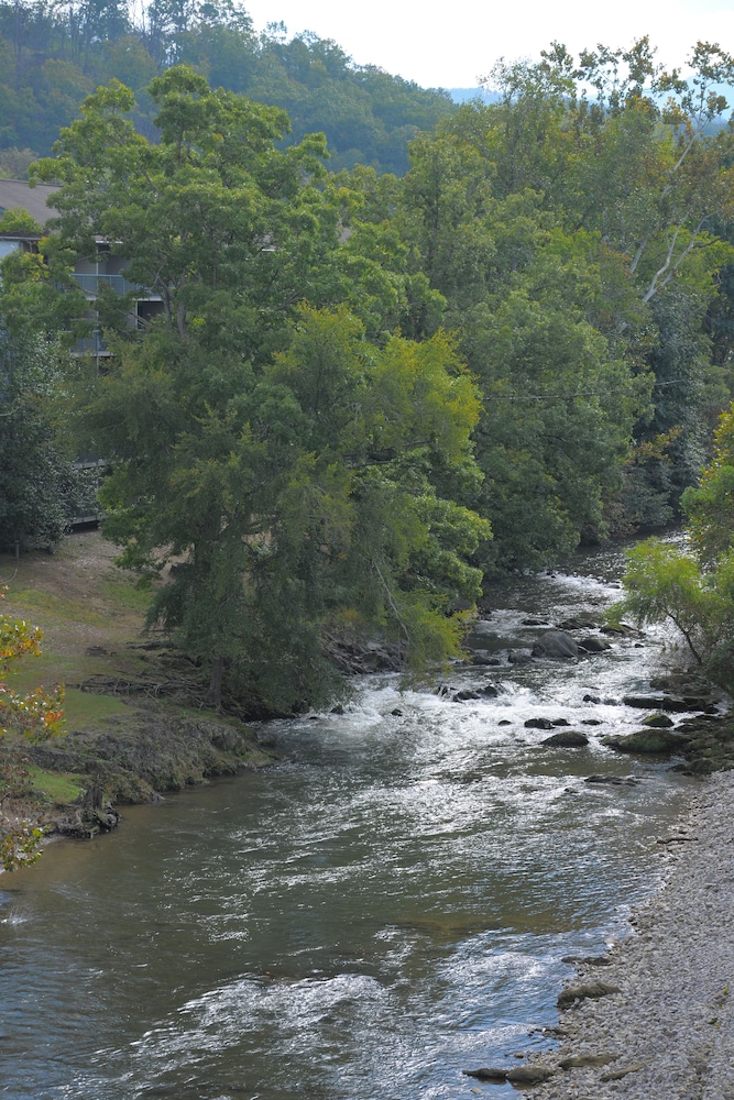 Deluxe Room, River View - Photo 7