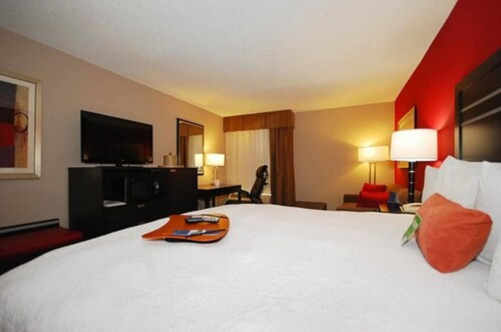 Room, 1 King Bed, Accessible