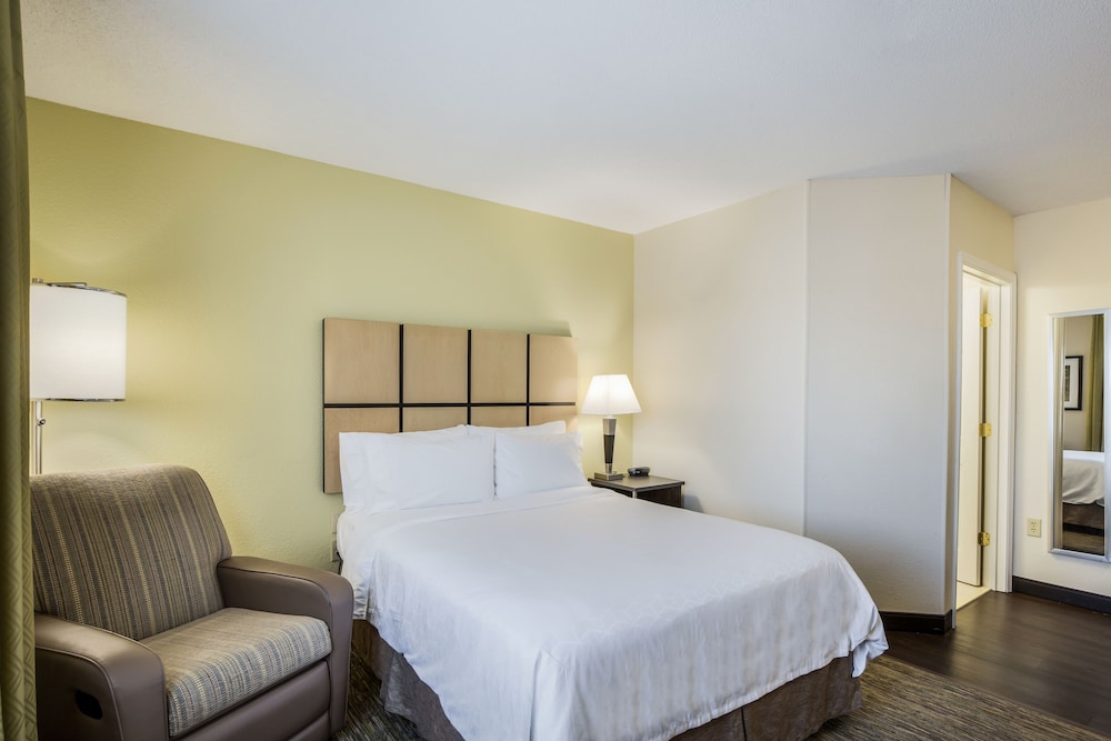 Studio Suite, 1 Queen Bed, Kitchen - Photo 3