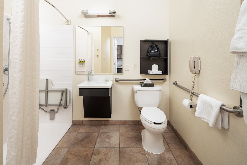 Studio Suite, 1 Queen Bed, Accessible (Mobility Roll-In Shower) - Photo 5