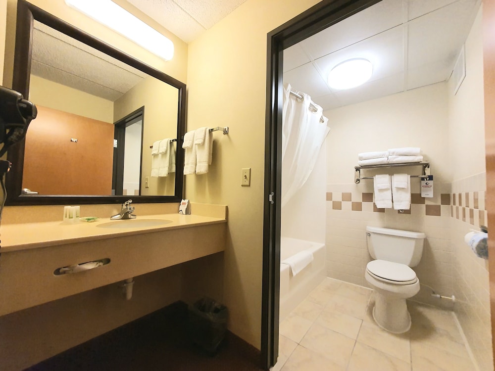 Executive Room, 1 King Bed, Non Smoking - Photo 5