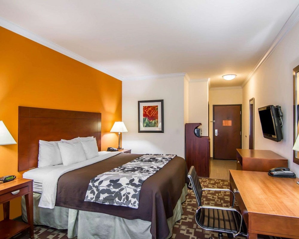 Standard Room, 1 King Bed, Non Smoking - Photo 2