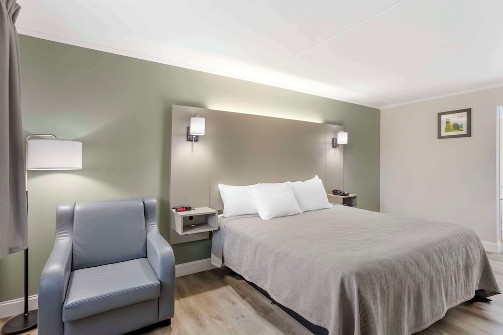 Room, 1 King Bed photo 1