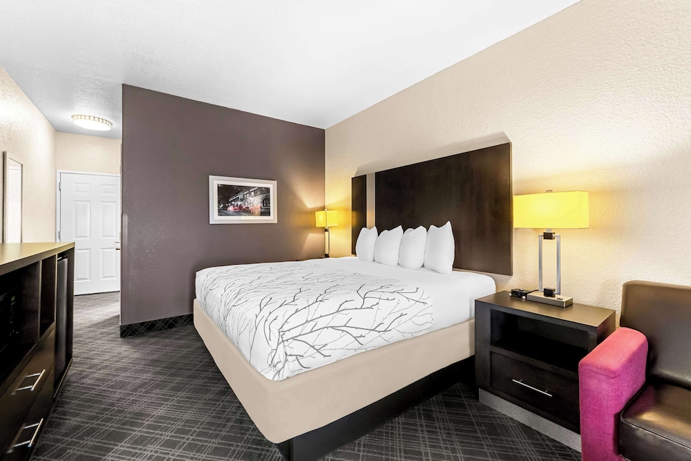 Standard Room, 1 King Bed, Non Smoking, Refrigerator & Microwave (with Sofabed) - Photo 3