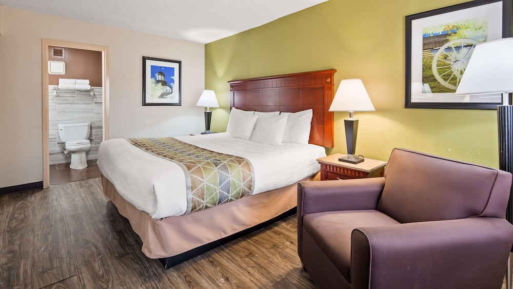 Standard Room, 1 King Bed, Non Smoking, Refrigerator & Microwave photo 1