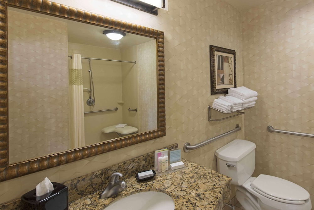 Studio, 1 King Bed, Accessible (Roll-In Shower) - Photo 4