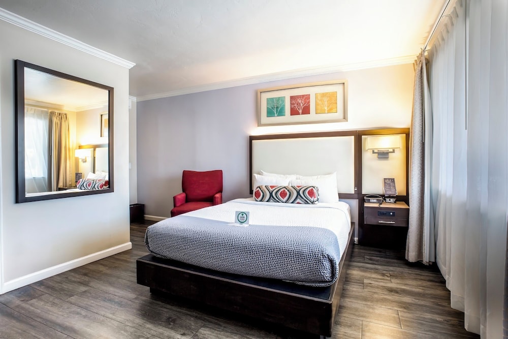 Room, 1 Queen Bed, Accessible (Non Smoking 1 Queen Room) photo 1
