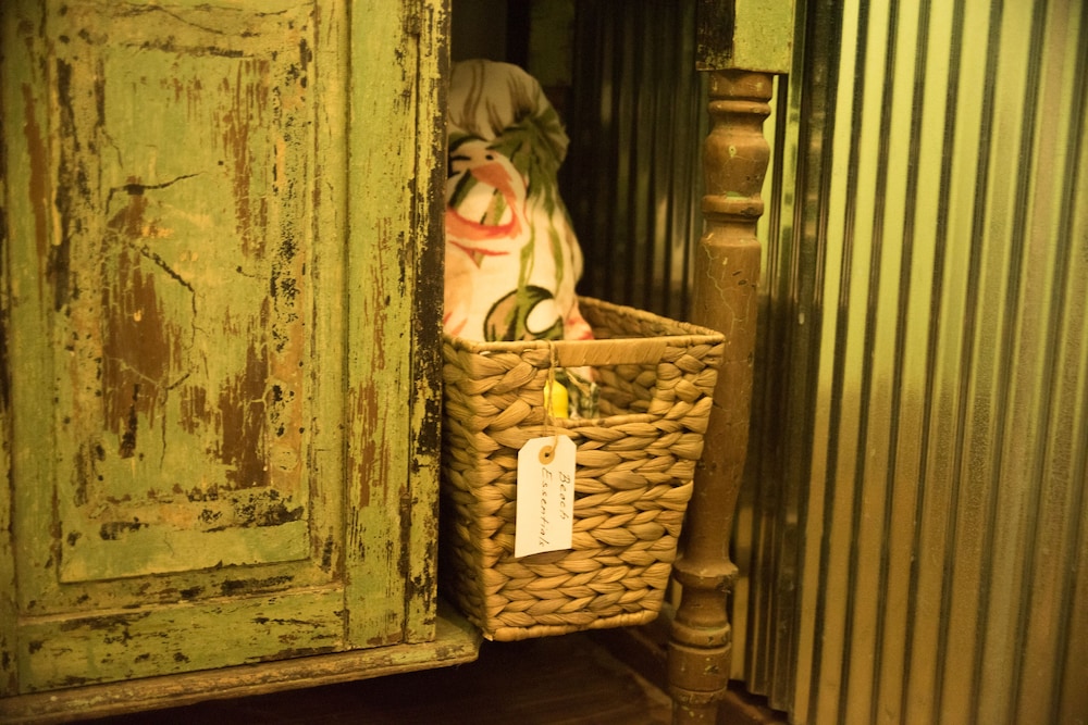 Fig Tree Retro Studio (Pets welcome) photo 3