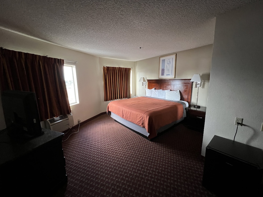 Suite, 1 King Bed - Photo 1