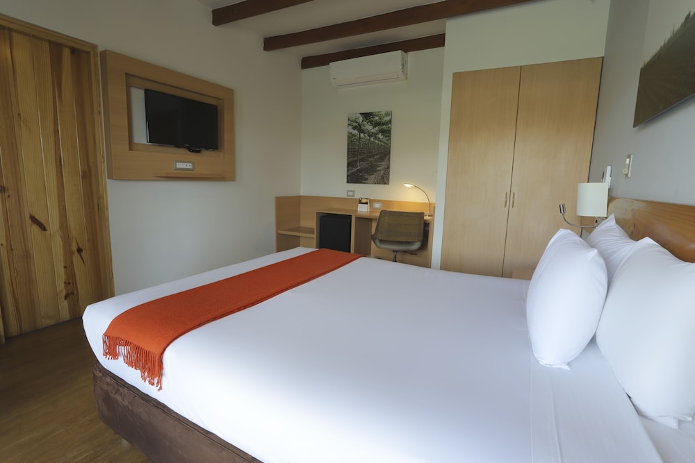 Superior Room, 1 Queen Bed photo 2