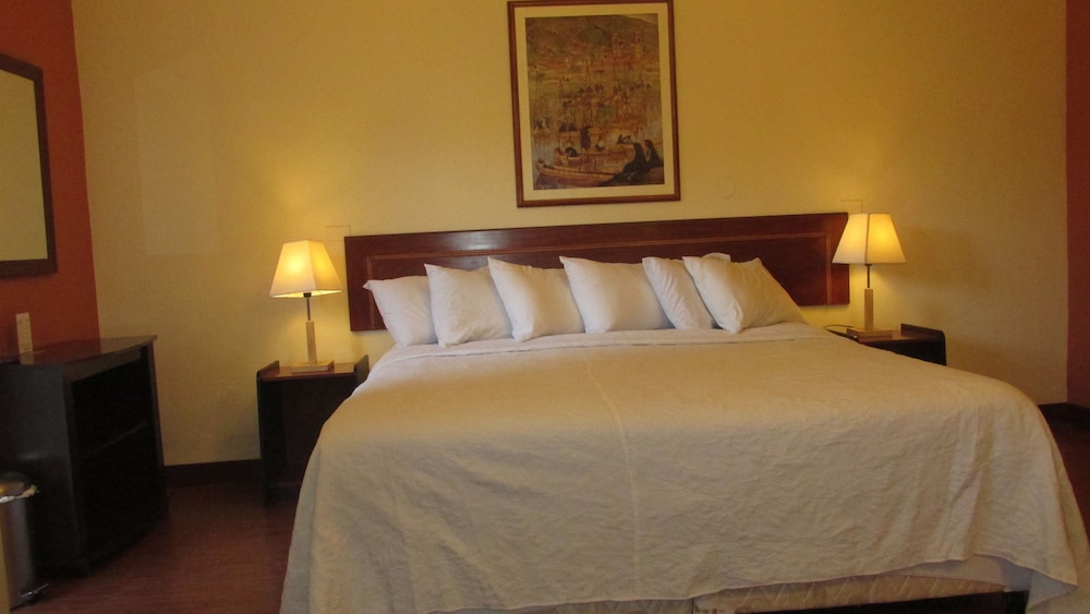 Deluxe Double Room, 1 King Bed, Garden View photo 1