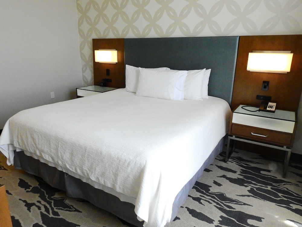 Suite, 1 King Bed photo 2