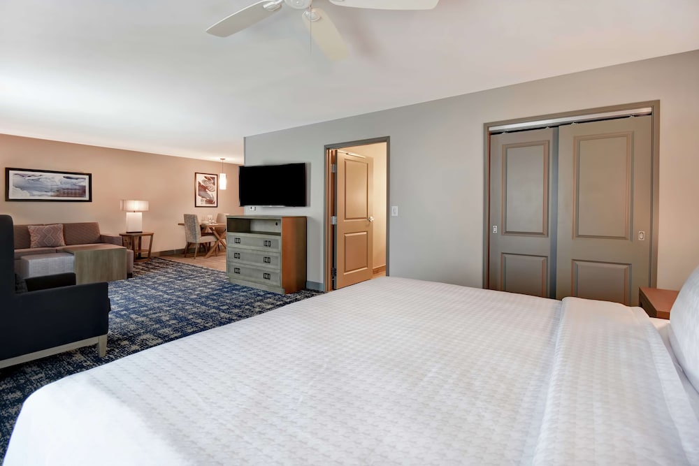 Suite, 1 King Bed, Accessible (Roll-In Shower) - Photo 4