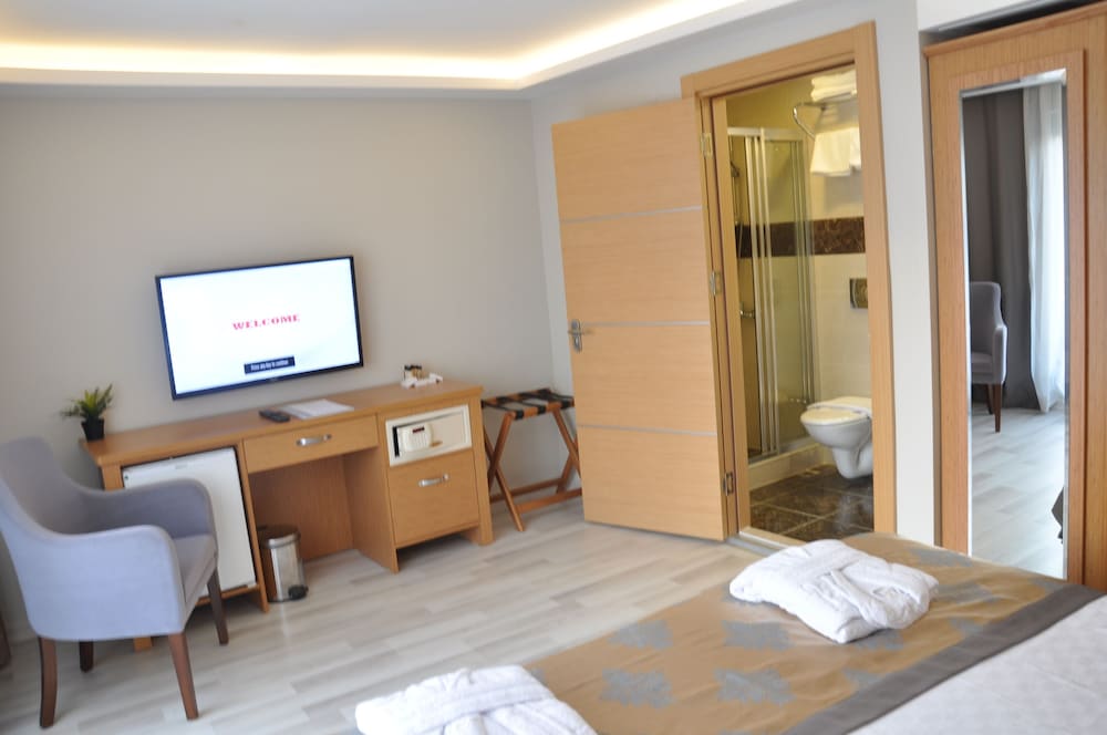 Deluxe Suite, Smoking, Balcony photo 3