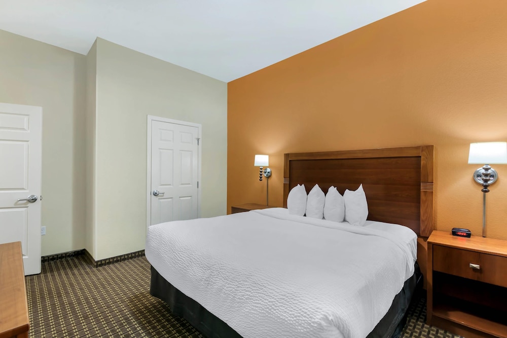 Suite, 1 King Bed with Sofa bed, Accessible, Non Smoking (Efficiency) photo 3
